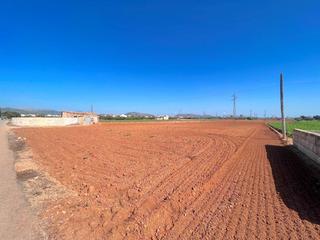 Terreny residencial a Sa Pobla. Terreno de 14.318 m2 en sa pobla con luz y agua