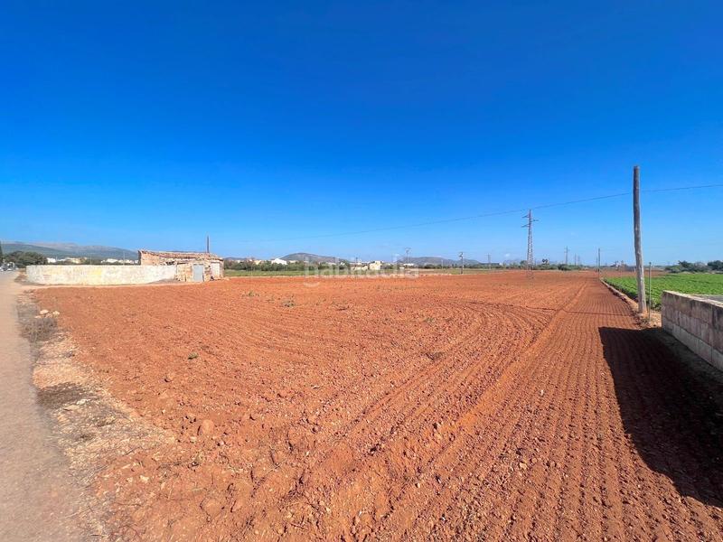 Foto f47203ee-28f3-457c-899f-1f5a704ca703. Terreny residencial a Sa Pobla