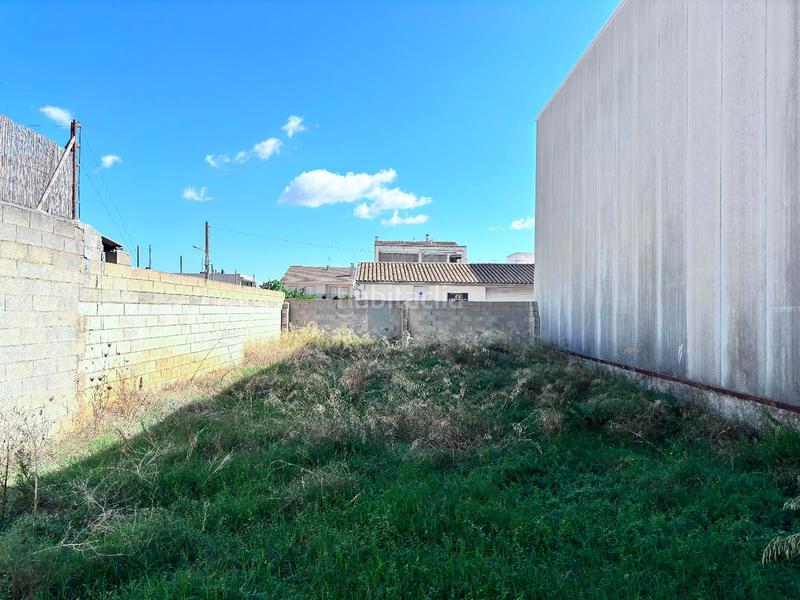 Foto e10bc54a-affb-4d5a-9e33-63482c4481ec. Terreny residencial a Sa Pobla