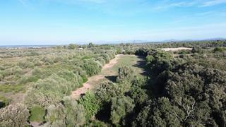 Terreny residencial a Muro. Finca edificable de 22.239 m2 entre muro y can picafort con vist