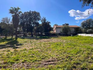 Terreny residencial a Sa Pobla. Parcela de 1.100 m2 en crestatx con licencia de obra