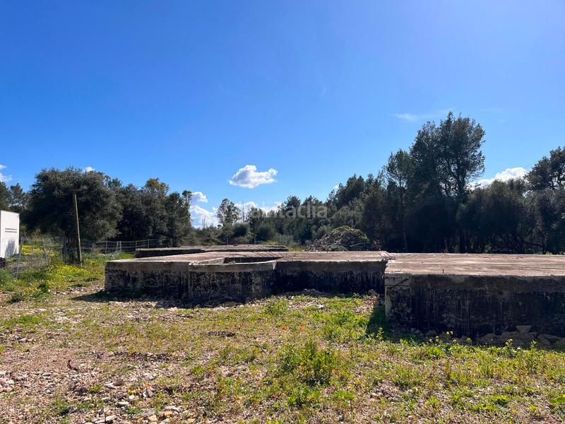 Foto 50cfd7cf-fcac-45e2-8be7-bde5b8c9f429. Terreny residencial a Sa Pobla