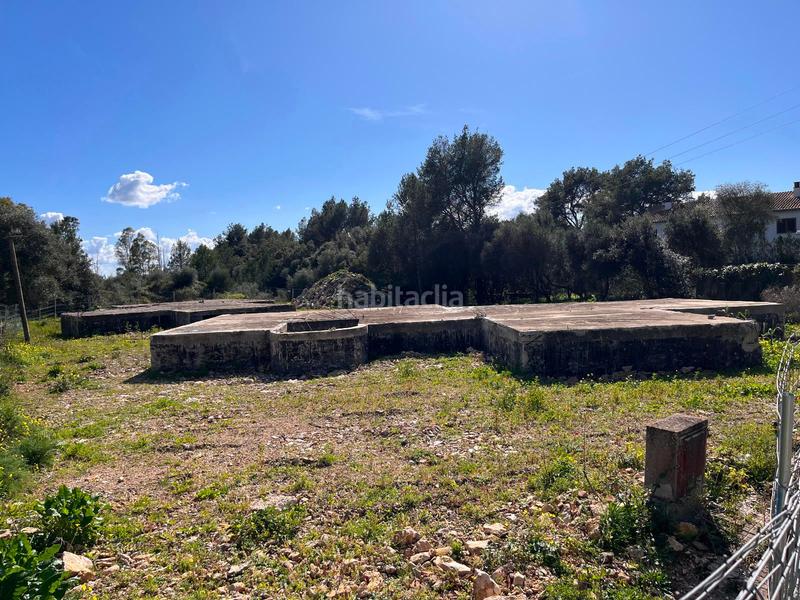Foto 565d3762-63b1-4cb3-9517-28bc8d3dc5fd. Terreny residencial a Sa Pobla