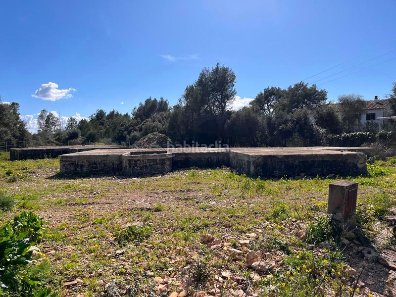 Foto 895fbe47-53b9-47f1-af27-f0a4b3d50aef. Terreny residencial a Sa Pobla