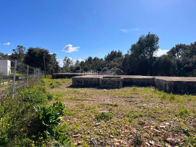 Foto a48a3c12-740a-4dd2-a772-cbfb5fa90fea. Terreny residencial a Sa Pobla