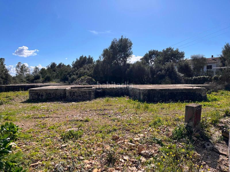 Foto a5d9d3c3-07b4-477d-a35b-0d1fc9117cfd. Terreny residencial a Sa Pobla
