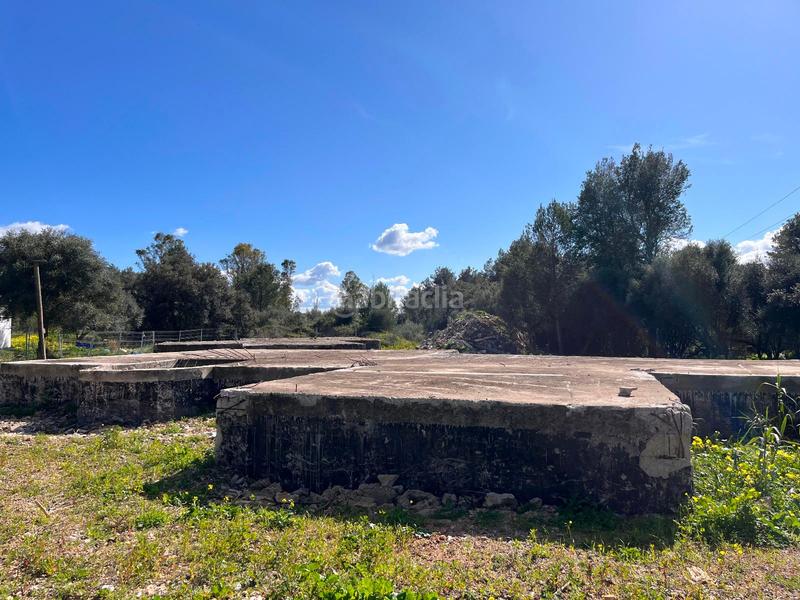 Foto aca2522a-975b-441b-adb5-109b2c03d346. Terreny residencial a Sa Pobla