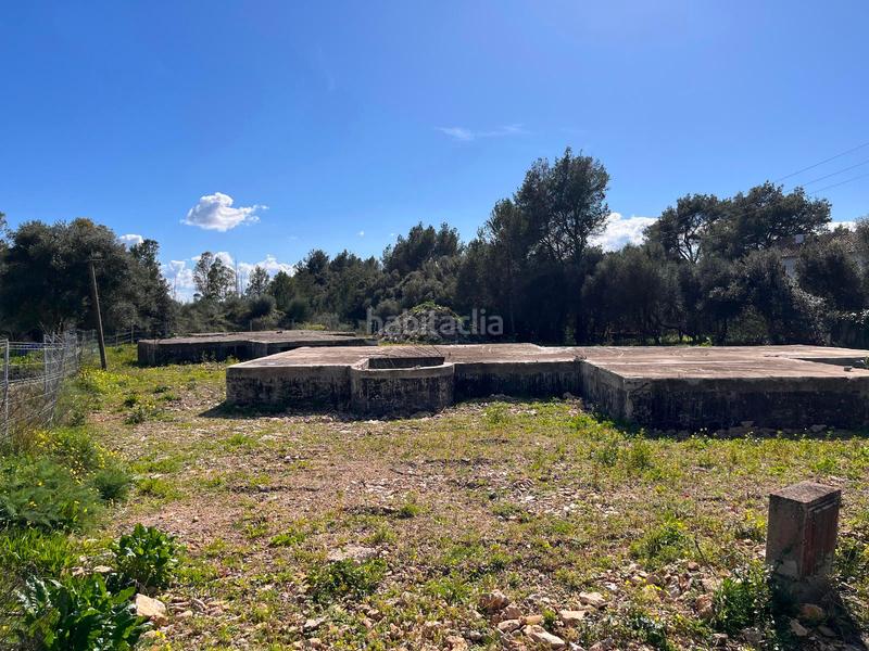 Foto ee69a629-feac-44ae-a7dc-941a5a9ac618. Terreny residencial a Sa Pobla