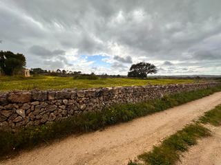 Residential Plot in Sineu. Terreno rústico de 18.000 m2 en sineu con licencia de obra