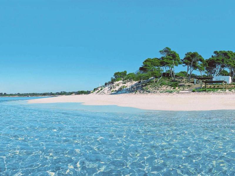 Foto 355fd652-23ef-4e9a-9b75-6df30c3ff8ac. Piccolo appartamento con riscaldamento parcheggio piscina in Ses Salines