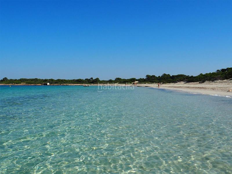 Foto 6a863972-aaac-4c11-a805-d930db90caab. Piccolo appartamento con riscaldamento parcheggio piscina in Ses Salines