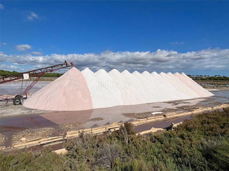 Foto 93f4ddb6-f221-4058-9d2e-1a2913d70e9f. Piccolo appartamento con riscaldamento parcheggio piscina in Ses Salines