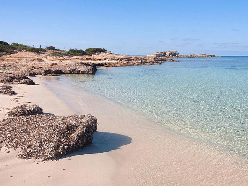 Foto aaee20ce-b6d1-4d62-a1cd-cac996cb3001. Piccolo appartamento con riscaldamento parcheggio piscina in Ses Salines