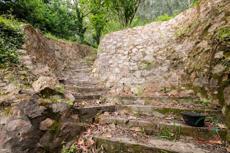 Foto 105e7492-4562-455e-ade3-f479f8ed6758. Casa in senda de la falconera 204 in Veriña Gijón