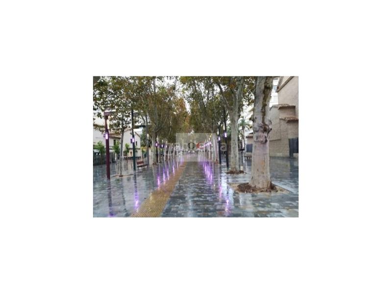 Foto bd309301-e2c7-4544-9c88-38a9decfa2c6. Rent business premise in San Miguel Murcia