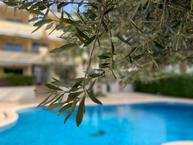 Foto eab2ab57-a7c5-428c-86fa-c49c7b7333c5. Location appartement avec chauffage piscine dans Colònia Sant Jordi Ses Salines