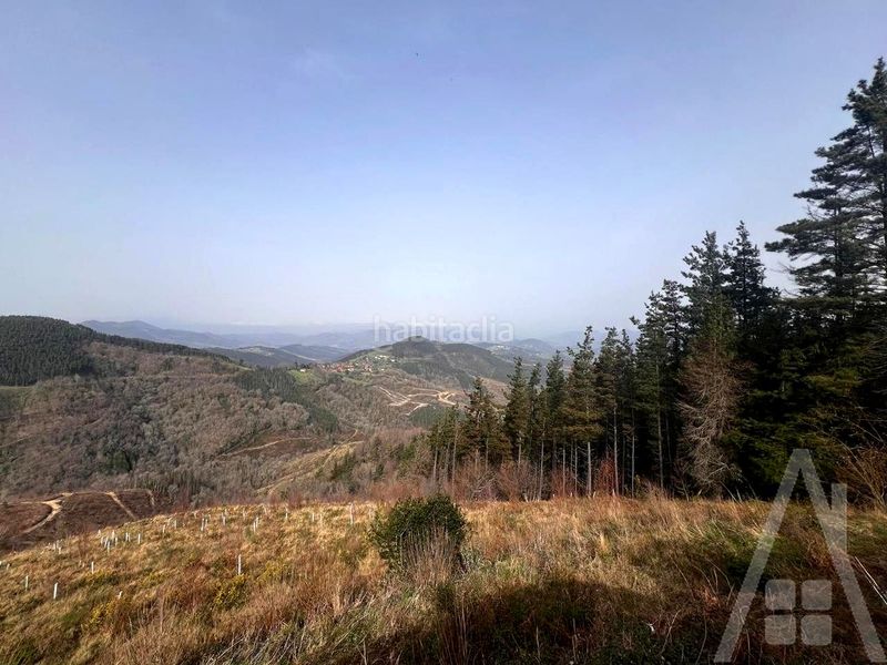 Foto 6b11f8bc-6bd5-4643-8009-78e3ef1de76f. Casa amb calefacció a Munitibar - Arbatzegi Gerrikaitz