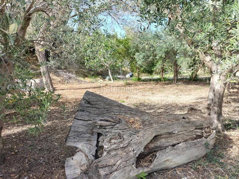 Foto 504535f4-7a1d-4f38-95f4-c7c3681f8790. Chalet mit heizung parking pool in Alguazas