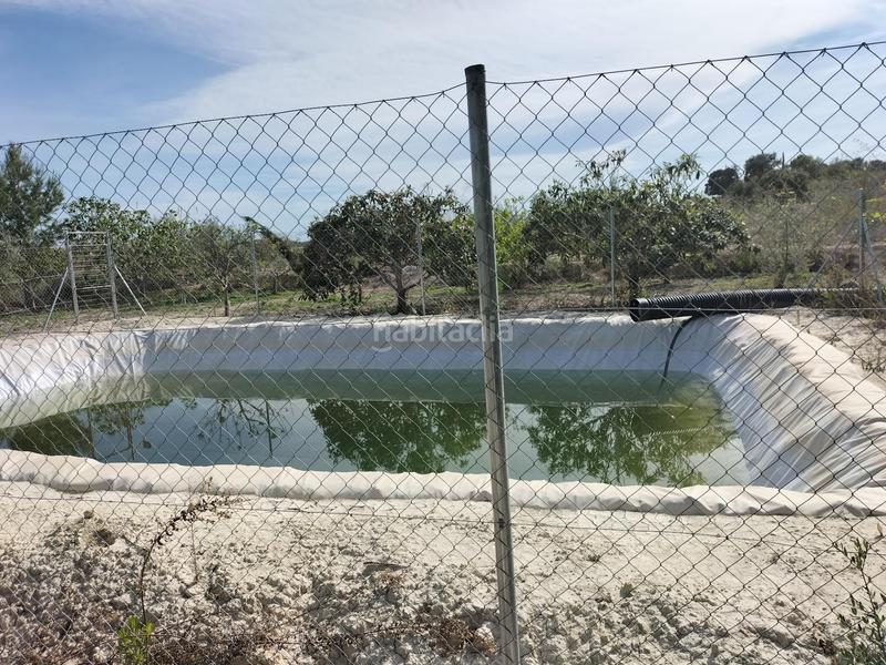 Foto 94a285a2-bacd-4d8b-baf7-af50db612572. Chalet mit heizung parking pool in Alguazas