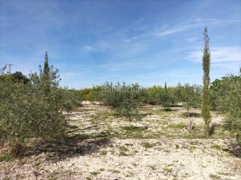 Foto de6696ad-0d64-4501-9908-c49d88da1a5c. Chalet mit heizung parking pool in Alguazas