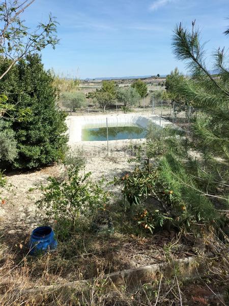 Foto f002c019-2377-462a-ae76-d103a68169c4. Chalet mit heizung parking pool in Alguazas