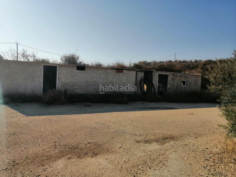 Foto 1389e7ec-ee1a-4db4-9223-54a6a02e5a3e. Casale con riscaldamento parcheggio in Fortuna