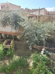 Haus en El Castillo - San Roque - El Carmen. Gran casa en molina de segura