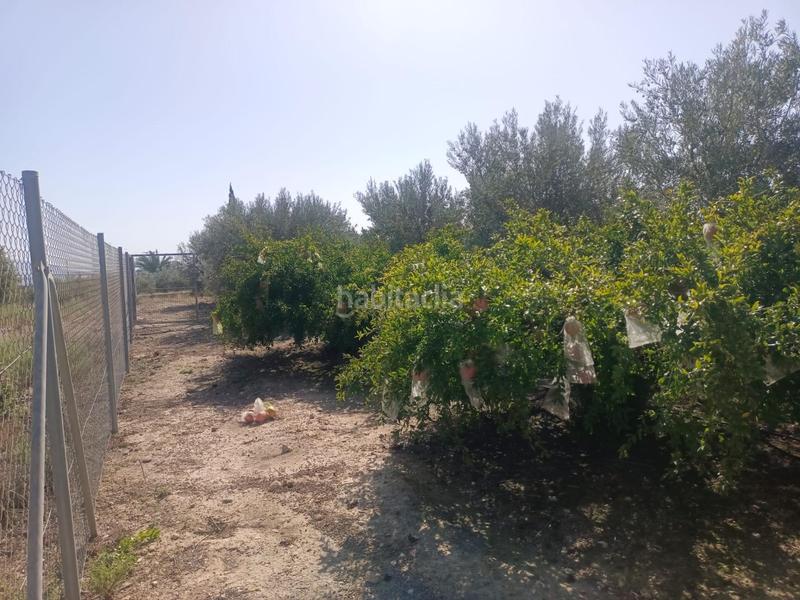 Foto 46bda84c-de73-4985-bb32-897fa341fa48. Casa gran parcela con casita en Altorreal - El Chorrico Molina de Segura