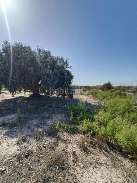 Foto 4ffd0618-5475-42cf-81aa-8c85e70fcc0e. Casa gran parcela con casita en Altorreal - El Chorrico Molina de Segura