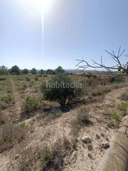 Foto cdb26408-cf84-4971-8509-307d29841992. Casa gran parcela con casita en Altorreal - El Chorrico Molina de Segura