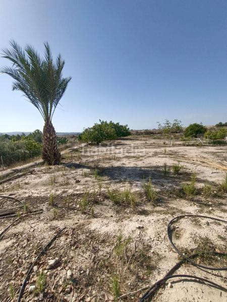 Foto e37082ef-49b7-4c38-b1e8-1268d9f92924. Casa gran parcela con casita en Altorreal - El Chorrico Molina de Segura