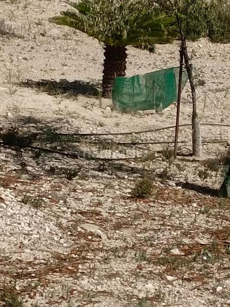 Foto f90c3527-2621-4860-9d31-8fe19f816d21. Casa gran parcela con casita en Altorreal - El Chorrico Molina de Segura