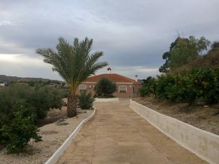 Chalet à Cañadas de San Pedro. Chalet en parcela de 5.000 ms con olivos y pinos