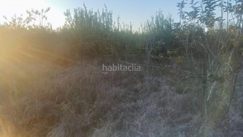 Foto 0da53490-2804-4346-89c5-fdb03a77090d. Terreno residenziale in La Catedral Murcia