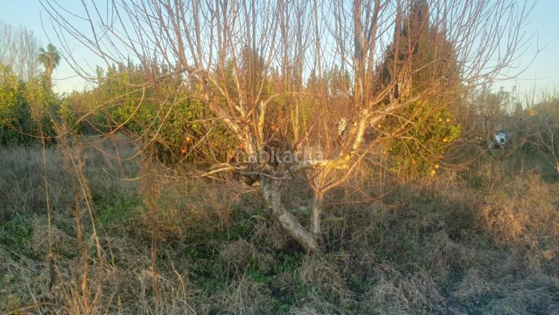 Foto 159218ca-84df-4883-9b7a-4c73cea8fcfa. Terreno residenziale in La Catedral Murcia