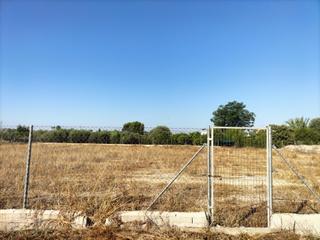 Landgut in Torres de Cotillas (Las). Gran terreno vallado en las torres de cotillas