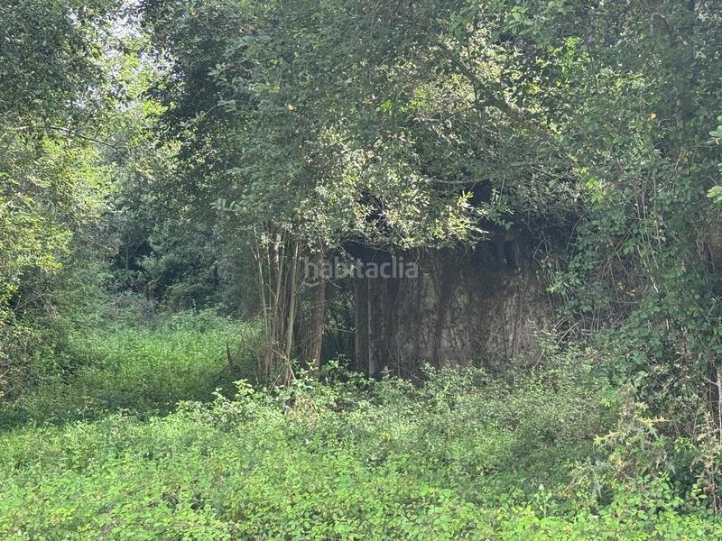 Foto 1cbba3af-2772-4876-bfd3-fb1ef4c77455. Masia a Marina de Cudeyo