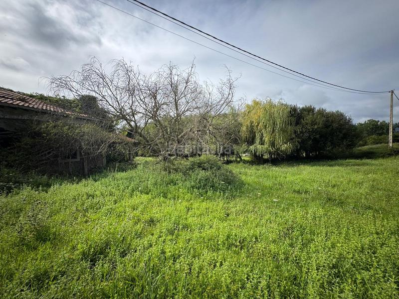 Foto be39653b-70ad-4952-8921-9b775a963066. Masia a Marina de Cudeyo