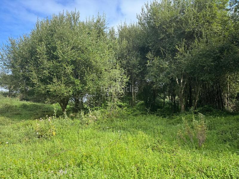 Foto c0004699-3427-4e9f-b4d5-1f63ca6970ce. Masia a Marina de Cudeyo