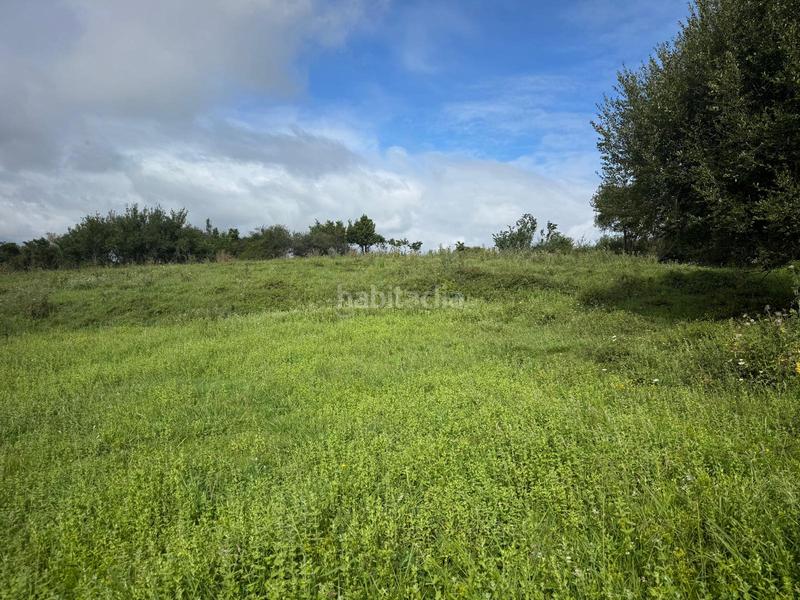 Foto c3ca986a-7957-4971-8681-0d8ddc4a9488. Masia a Marina de Cudeyo