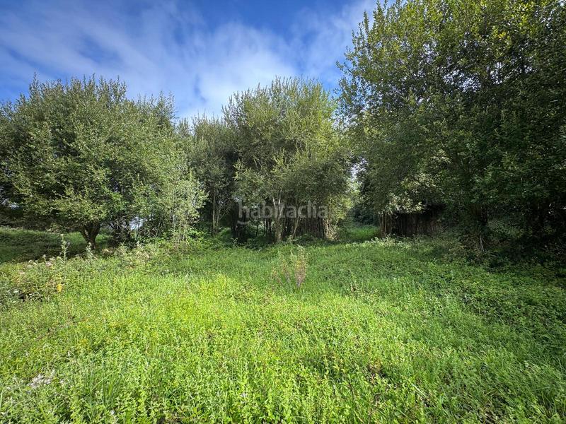 Foto dd5ef63c-15ed-4469-b517-2c3e7d54434c. Masia a Marina de Cudeyo