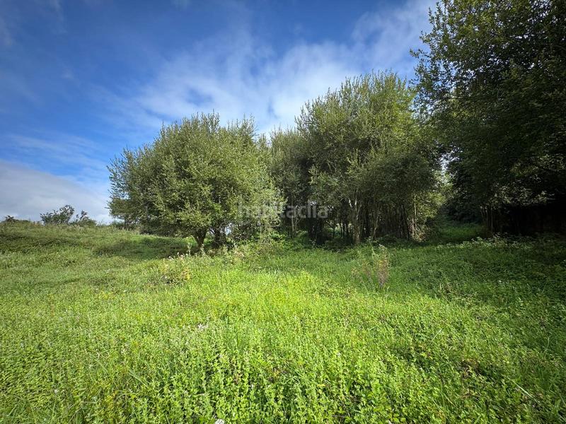 Foto f5f39a33-2286-4254-8b6e-0ad981bb6113. Masia a Marina de Cudeyo