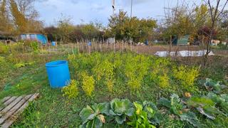 Finca rústica  Etxabarri ibiña entitatea