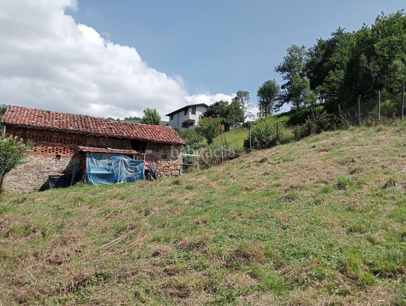 Foto 5045e35d-8fa3-4ec1-9dbd-22b2743ba8fc. Haus in lugar intriago 19 in Cangas de Onís