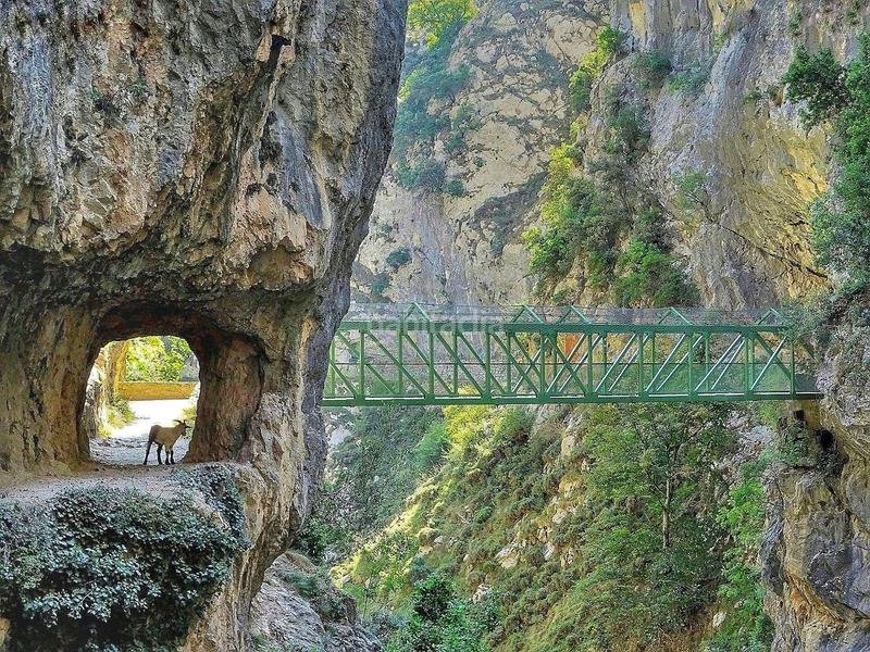 Foto 7ad1b419-87d8-4547-8643-4015ebfc6cf7. Haus in lugar intriago 19 in Cangas de Onís