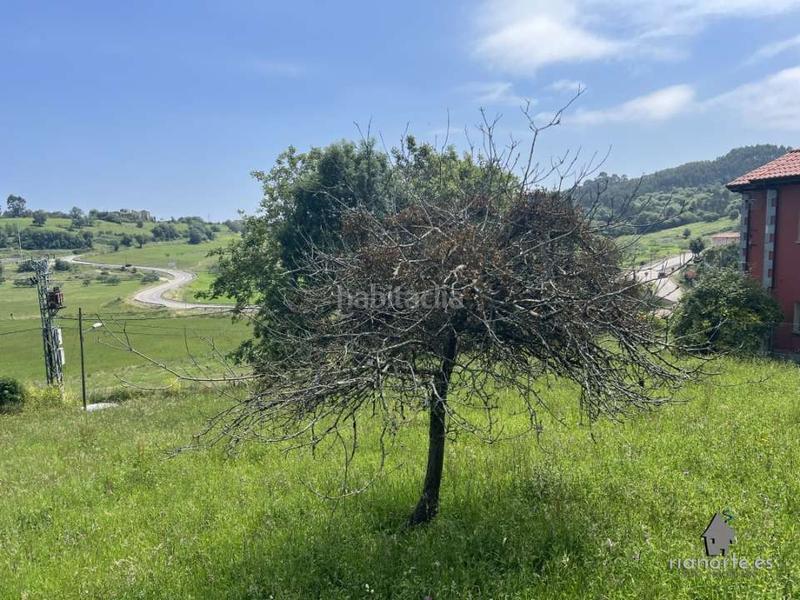 Foto ea2b2a78-43d4-4762-8670-99983662fd41. Terrain résidentiel dans aldea bones 30b dans Ribadesella