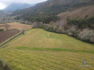 Terreny residencial a Lugar nocedo 11. Venta de finca edificable para vivir en plena naturaleza