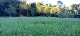 Residential Plot in N/a