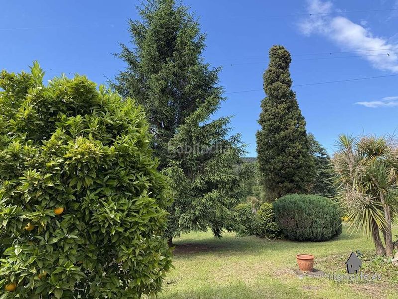 Foto f30f5afe-2d3f-4f7a-9681-daa94a7278ee. Casa a barrio zafra 13 a Colunga