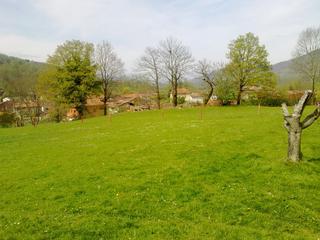 Residential Plot  Co-6